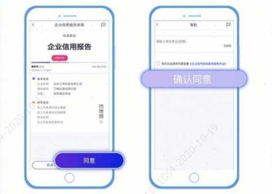 如何查询到南京的企业（南京企业信用报告在哪里查）-图1