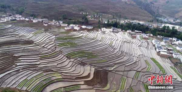 甘洛在凉山如何（大凉山甘洛什么样的地方呀）-图3