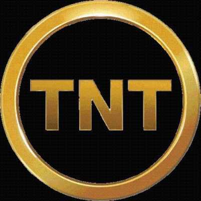 tnt全球和经济如何查询（tnt怎么看）-图1