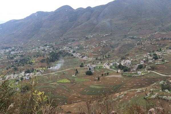 大方县大山乡如何（大方县大山村）-图1