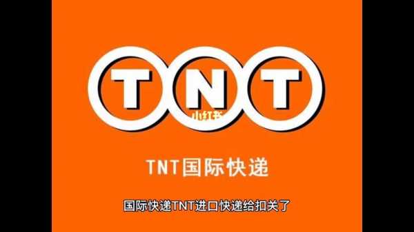 tnt报关如何（发tnt需要报关吗）-图1