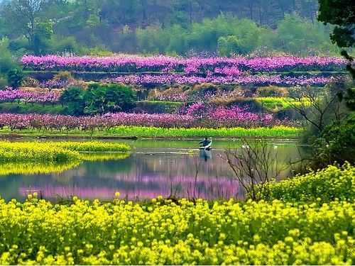 古冶桃花坞如何入驻（唐山古冶桃花坞）-图1