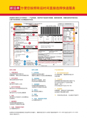 dhl快递单如何填写（dhl单子怎么填）-图1