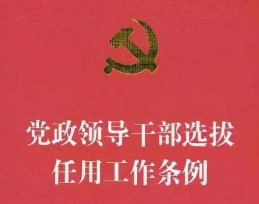 党政干部拉票如何界定（干部选拔拉票认定标准）-图2