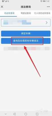 如何交其他车辆违章查询（怎么给别的车交违章）-图1