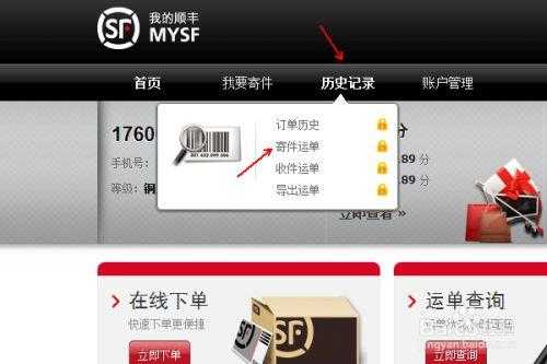顺丰快递如何查历史订单（顺丰快递如何查历史订单记录）-图3