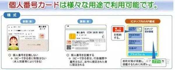 如何查日本手续受理番号（日本怎么查）-图1