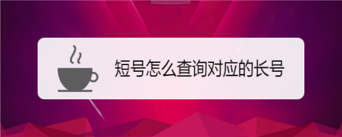 如何查集团号（怎样查集团号的长号）-图2