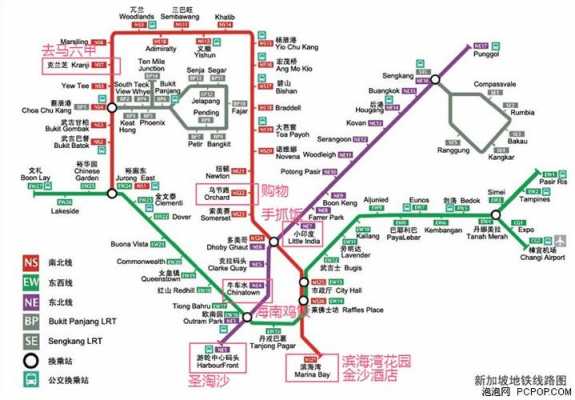 新加坡专线如何（新加坡中转站）-图1