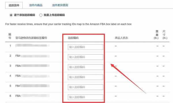 亚马逊如何寄快递单号查询（亚马逊快递包裹）-图3