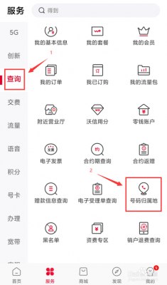 如何查电信卡归属地（如何查电信卡归属地信息）-图3