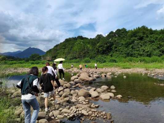 如何坐车去龙溪苏村（如何坐车去龙溪苏村公园）-图2