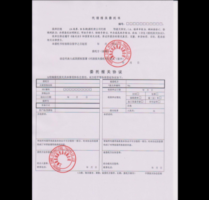 dhl如何报关（dhl报关需要什么资料）-图2