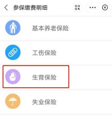 如何查询单位生育保险（单位报的生育险怎么查进度）-图2