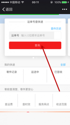 运单号如何查询时效（请问运单号怎么查）-图3