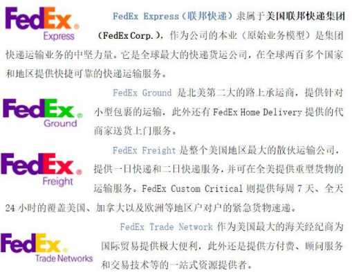 美国fedex如何（fedex有几种邮寄方式）-图1