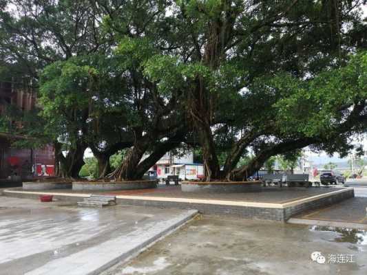 马鼻镇南门村如何致富（马鼻镇村前村）-图1