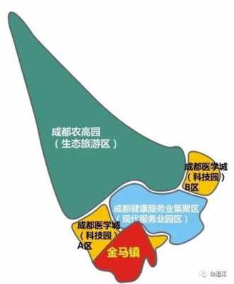 四川成都温江金马如何（成都温江金马最新项目）-图3