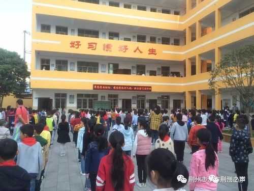 荆江小学在荆州如何（荆州荆江小学怎么样）-图1