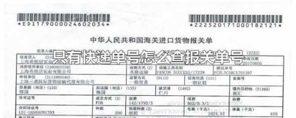 知道快递单号如何查报关号（怎么根据报关单号查询）-图2