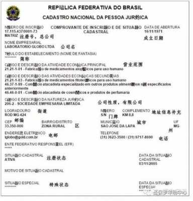 巴西税号如何翻译（巴西税号查询）-图2