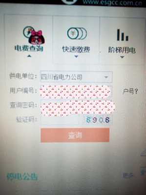 北京如何查询客户编号（北京电力公司客户编号）-图1
