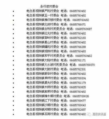 村委会电话如何查询（查询村委会的电话号码）-图3